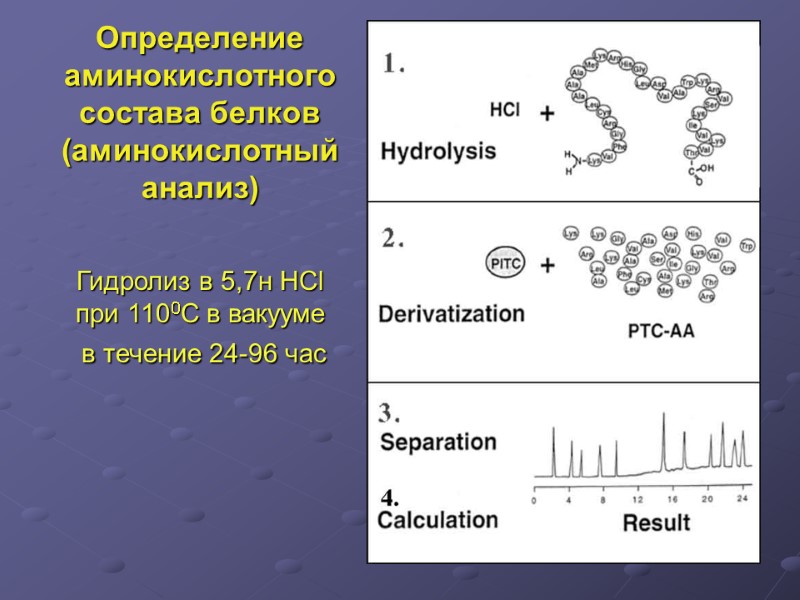 Гидролиз в 5,7н HCl при 1100C в вакууме   в течение 24-96 час